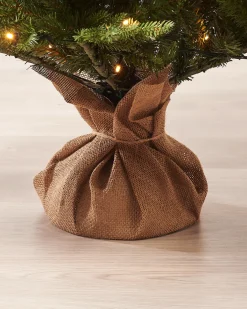 WeRChristmas Pre-Lit Norway Spruce Potted Christmas Tree, 6 Ft