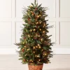 WeRChristmas Pre-Lit Pines & Berries Potted Christmas Tree, 4.5 Ft