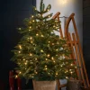 WeRChristmas Pre-Lit Potted Alaskan Fir Christmas Tree, 4 Ft