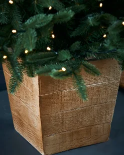 WeRChristmas Pre-Lit Potted Alaskan Fir Christmas Tree, 4 Ft