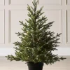 WeRChristmas Pre-Lit Potted Douglas Fir Christmas Tree, 3 Ft