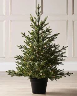 WeRChristmas Pre-Lit Potted Douglas Fir Christmas Tree, 3 Ft