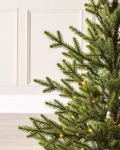 WeRChristmas Pre-Lit Potted Douglas Fir Christmas Tree, 3 Ft