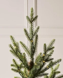 WeRChristmas Pre-Lit Potted Douglas Fir Christmas Tree, 3 Ft