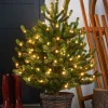 WeRChristmas Pre-Lit Potted Dwarf Fir Christmas Tree, 3 Ft