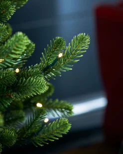 WeRChristmas Pre-Lit Potted Dwarf Fir Christmas Tree, 3 Ft