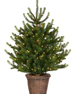 WeRChristmas Pre-Lit Potted Dwarf Fir Christmas Tree, 3 Ft