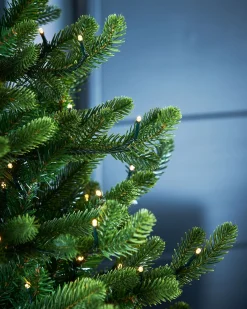 WeRChristmas Pre-Lit Potted Dwarf Fir Christmas Tree, 3 Ft