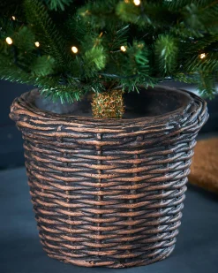 WeRChristmas Pre-Lit Potted Dwarf Fir Christmas Tree, 3 Ft