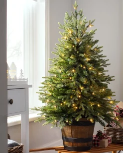WeRChristmas Pre-Lit Potted Pine Christmas Tree, 4 Ft