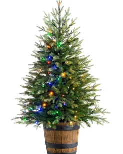 WeRChristmas Pre-Lit Potted Pine Christmas Tree, 4 Ft
