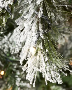 WeRChristmas Pre-Lit Slim Snow Flocked Spruce Christmas Tree, 6 Ft