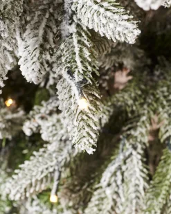 WeRChristmas Pre-Lit Slim Snow Flocked Christmas Tree, 5 Ft