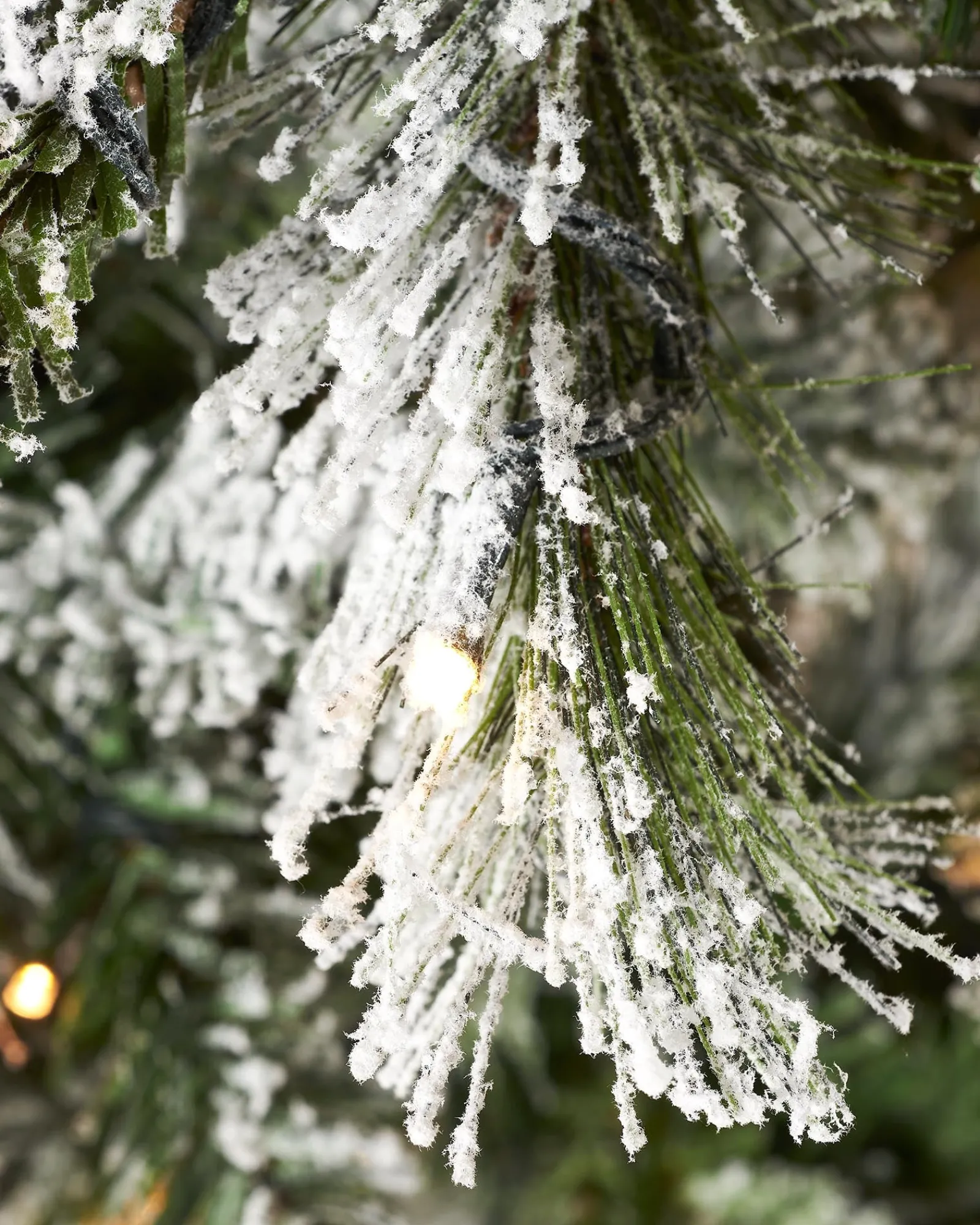 WeRChristmas Pre-Lit Slim Snow Flocked Spruce Christmas Tree, 8 Ft