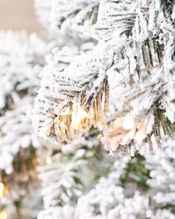 WeRChristmas Pre-Lit Snow Flocked Alpine Christmas Tree, 6 Ft
