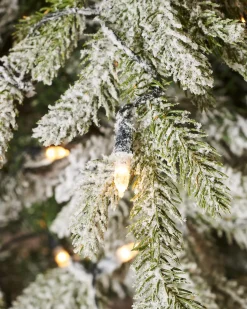 WeRChristmas Pre-Lit Snow Flocked Fraser Fir Christmas Tree, 6 Ft