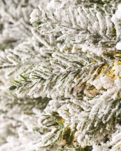 WeRChristmas Pre-Lit Snow Flocked Natural Fir Majestic Wreath, 1.5 M