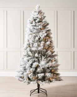 WeRChristmas Pre-Lit Snow Flocked Pine Needle Christmas Tree, 5 Ft