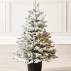 WeRChristmas Pre-Lit Snow Flocked Potted Christmas Tree, 3 Ft