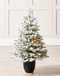 WeRChristmas Pre-Lit Snow Flocked Potted Christmas Tree, 3 Ft