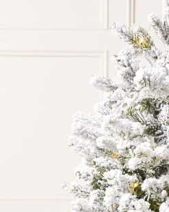 WeRChristmas Pre-Lit Snow Flocked Potted Christmas Tree, 3 Ft