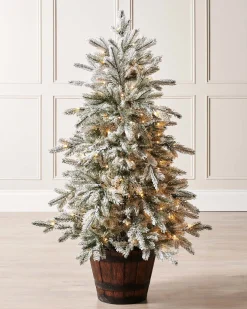 WeRChristmas Pre-Lit Snow Flocked Potted Christmas Tree, 4 Ft
