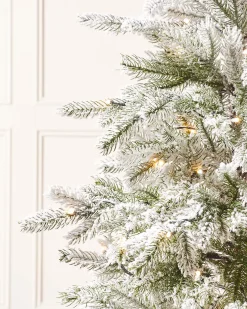 WeRChristmas Pre-Lit Snow Flocked Potted Christmas Tree, 4 Ft