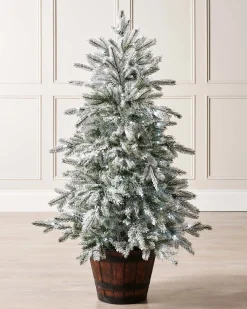 WeRChristmas Pre-Lit Snow Flocked Potted Christmas Tree, 4 Ft