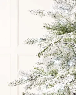 WeRChristmas Pre-Lit Snow Flocked Potted Christmas Tree, 4 Ft