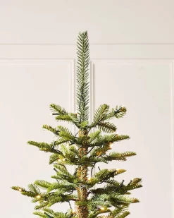 WeRChristmas Pre-Lit Sugar Pine Christmas Tree, 6 Ft