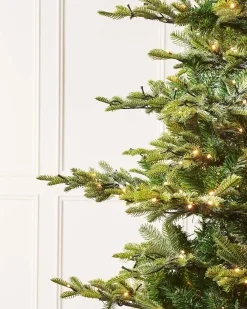 WeRChristmas Pre-Lit Sugar Pine Christmas Tree, 6 Ft