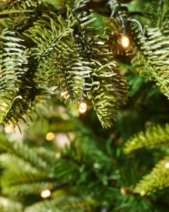 WeRChristmas Pre-Lit Sugar Pine Christmas Tree, 6 Ft