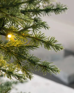 WeRChristmas Pre-Lit Traditional Fir Multi-Function Christmas Tree, 9 Ft