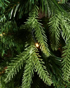 WeRChristmas Pre-Lit Victorian Mixed Tip Berries & Pinecones Christmas Tree, 5 Ft