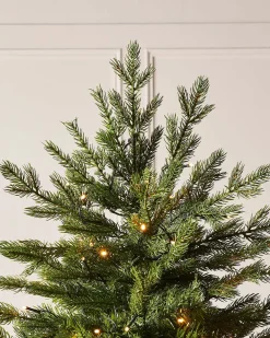 WeRChristmas Pre-Lit Windsor Fir Christmas Tree, 5 Ft