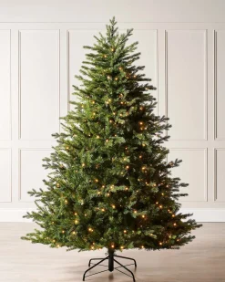 WeRChristmas Pre-Lit Windsor Fir Christmas Tree, 8 Ft