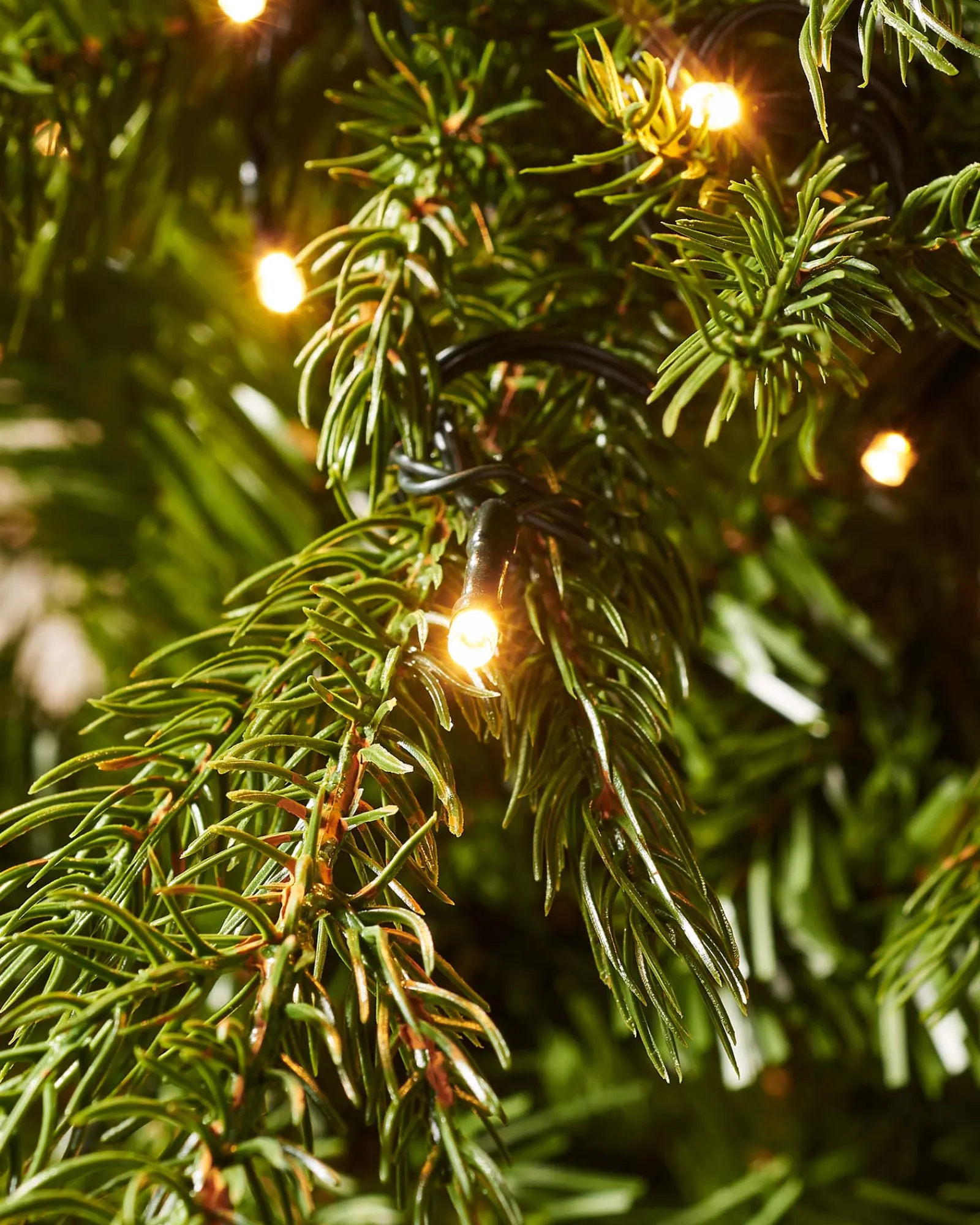 WeRChristmas Pre-Lit Windsor Fir Christmas Tree, 8 Ft