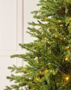 WeRChristmas Pre-Lit Windsor Fir Christmas Tree, Dual Warm White, 7 Ft