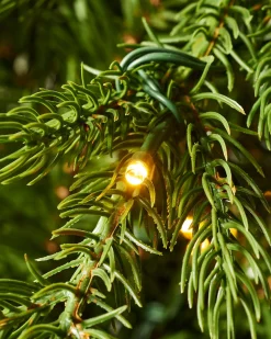 WeRChristmas Pre-Lit Windsor Fir Christmas Tree, Dual Warm White, 7 Ft
