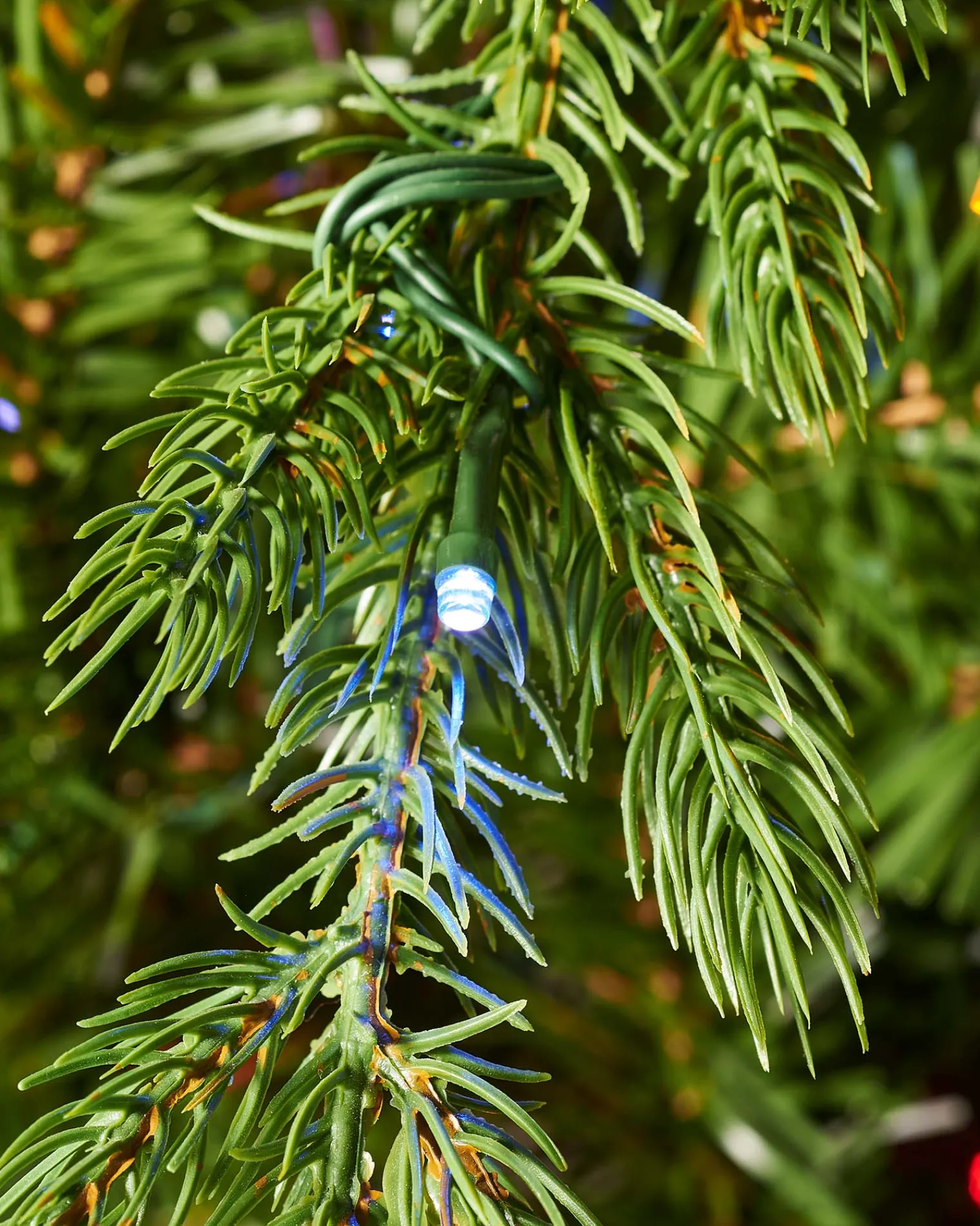 WeRChristmas Pre-Lit Windsor Fir Christmas Tree, Dual Warm White, 7 Ft