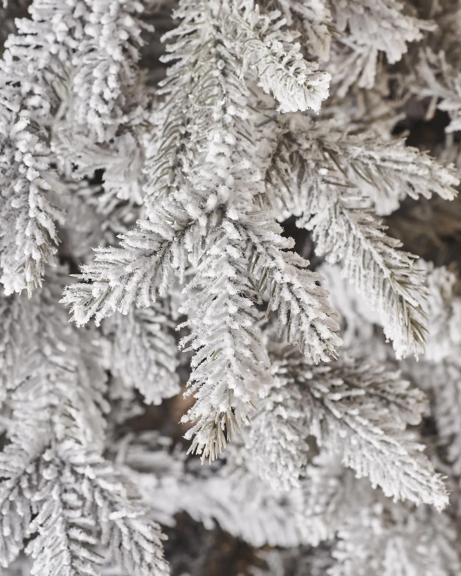 WeRChristmas Snow Flocked Grey Fir Christmas Tree, 7 Ft