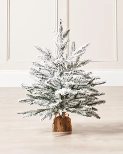 WeRChristmas Snow Flocked Potted Christmas Tree, 2 Ft
